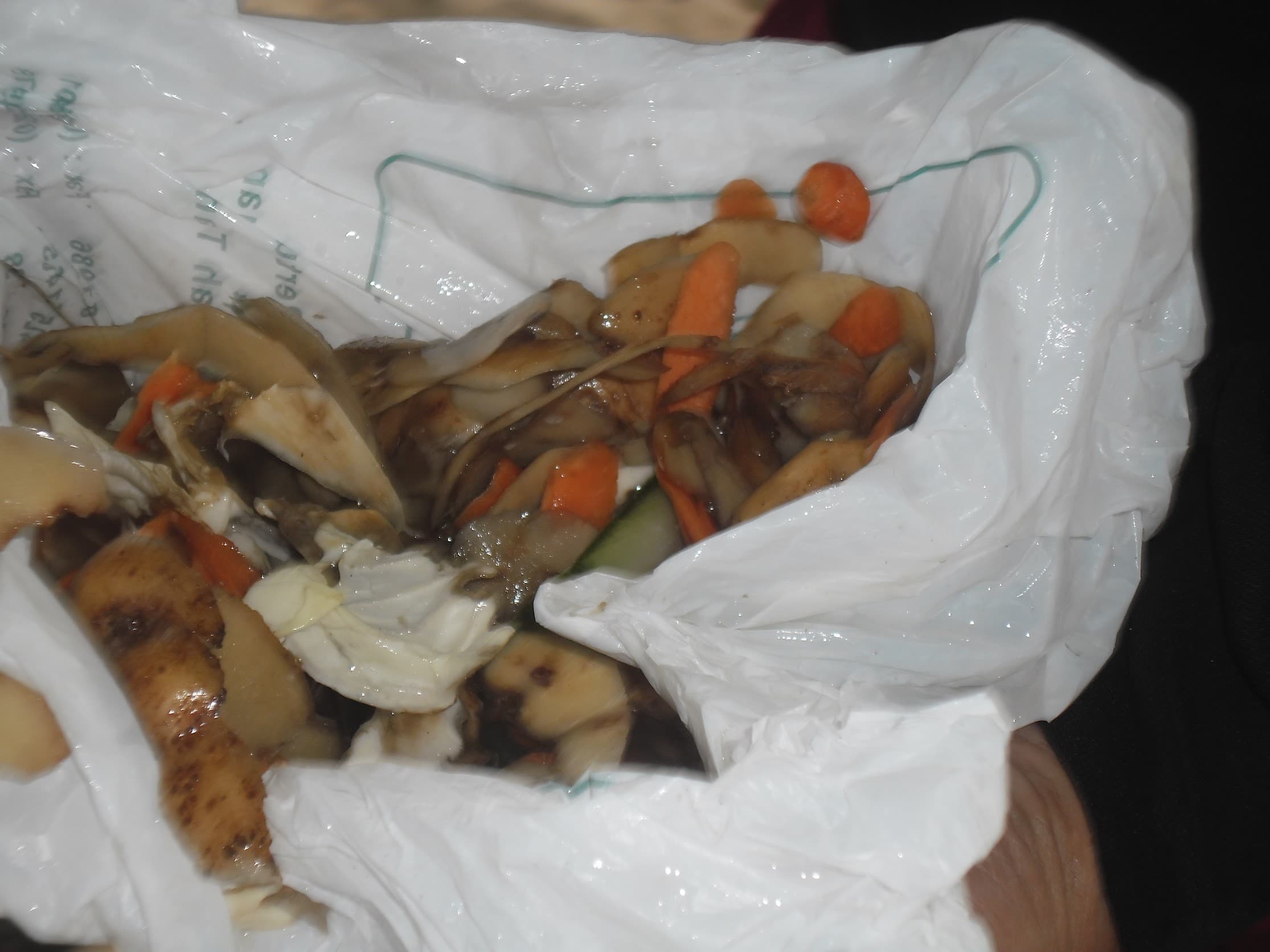 Pengolahan Bank Sampah Brits di Pulau Bunaken 2012