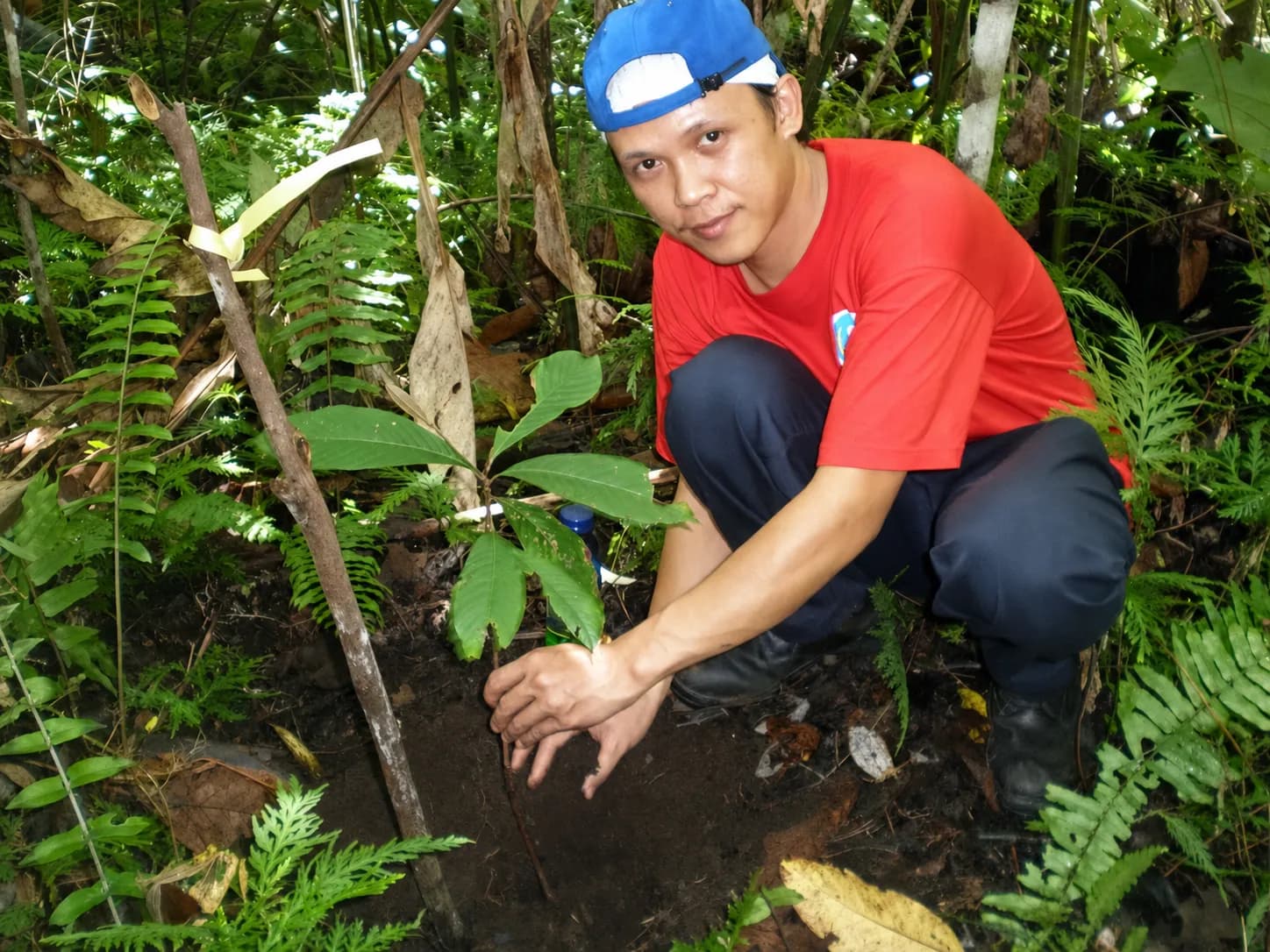 Tanam pohon di Gunung Klabat