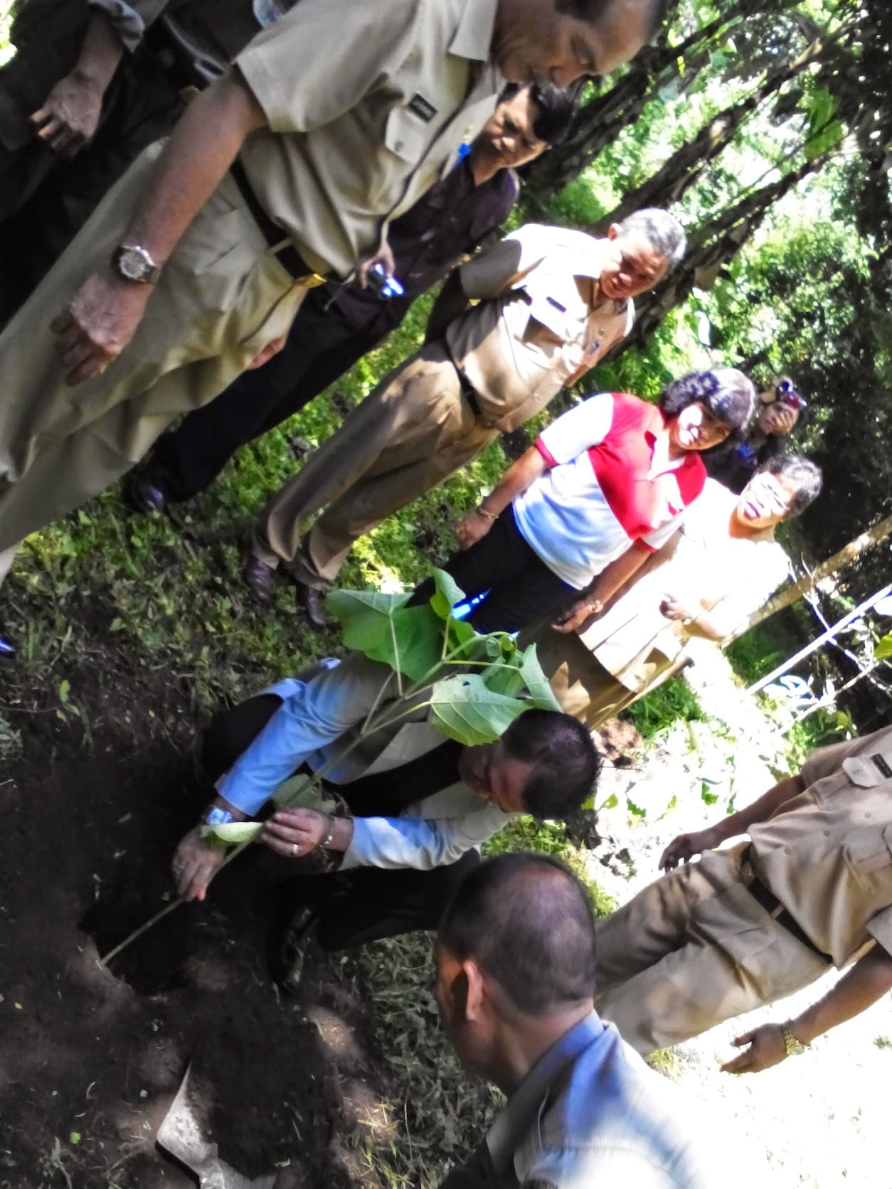 Tanam pohon di Hutan Kenangan
