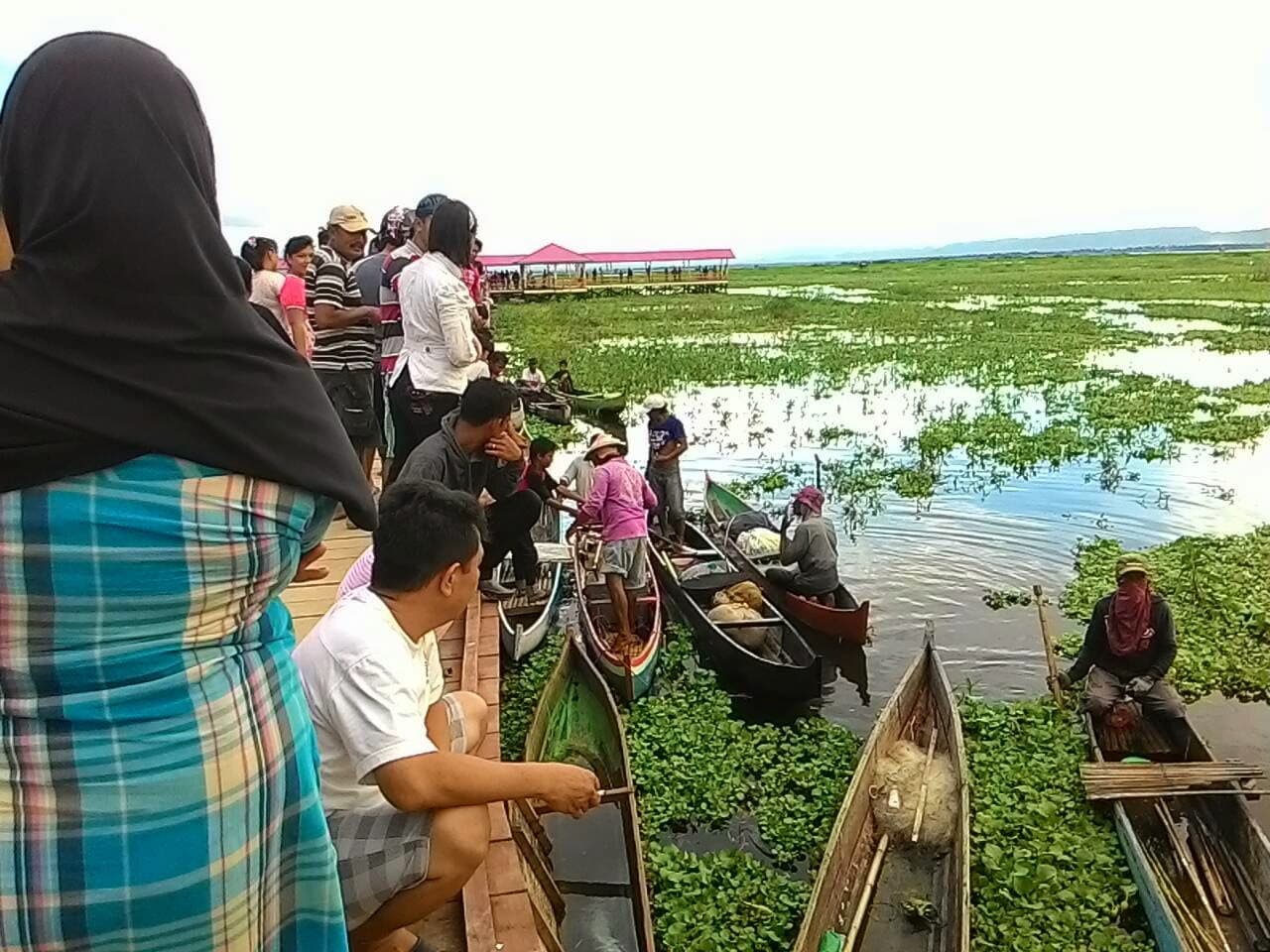 Pendangkalan Danau Limboto akibat eceng gondok