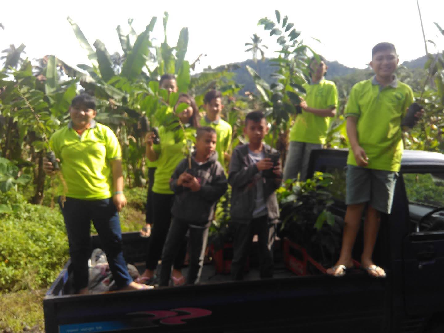 GCF tanam pohon