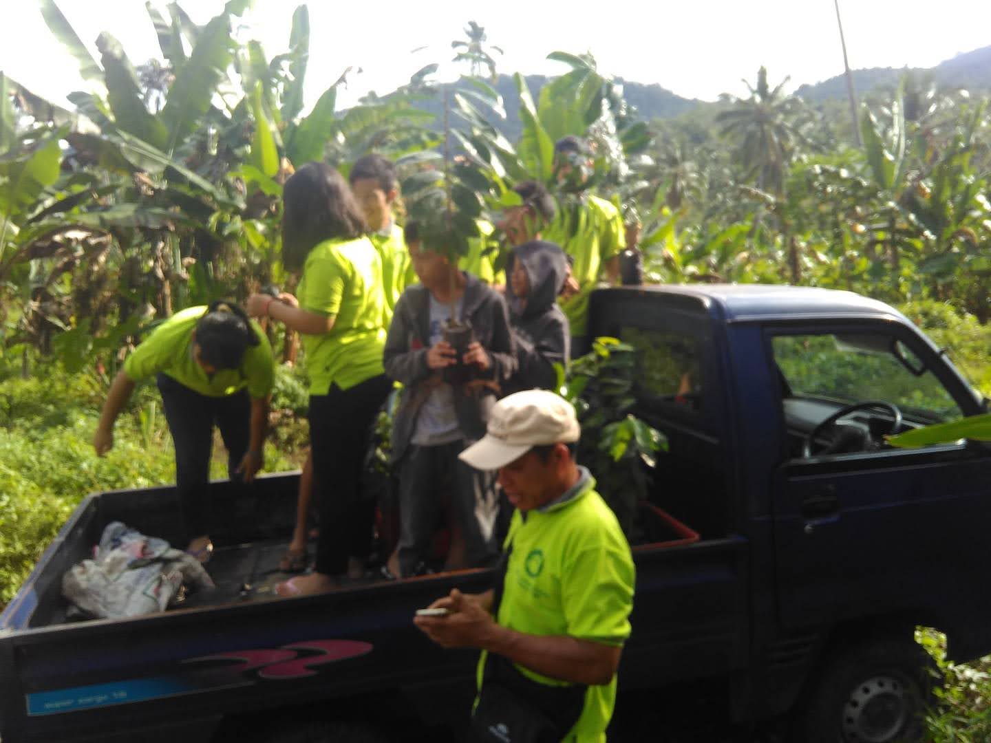 GCF tanam pohon